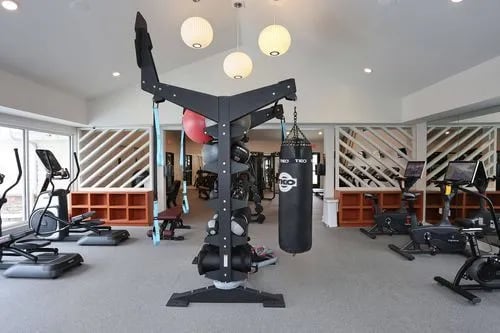 Punching bag elliptical bikes exercise equipment gym interior at The Roost in Columbia Student Accommodation