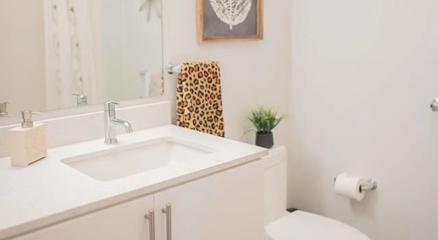 Sink toilet leopard towel plant bathroom at Cheatham Street Flats in San Marcos Student Accommodation