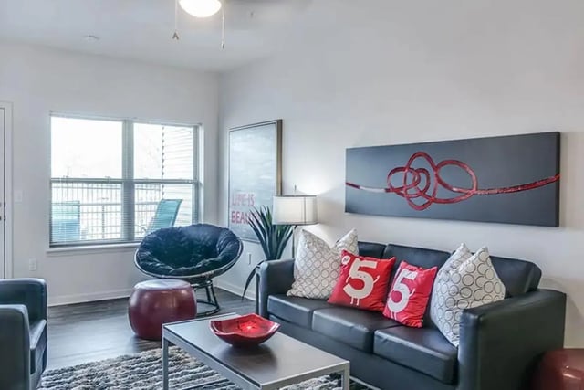Black sofa red pillows modern art living room at The Edge at Conway in Conway Student Accommodation