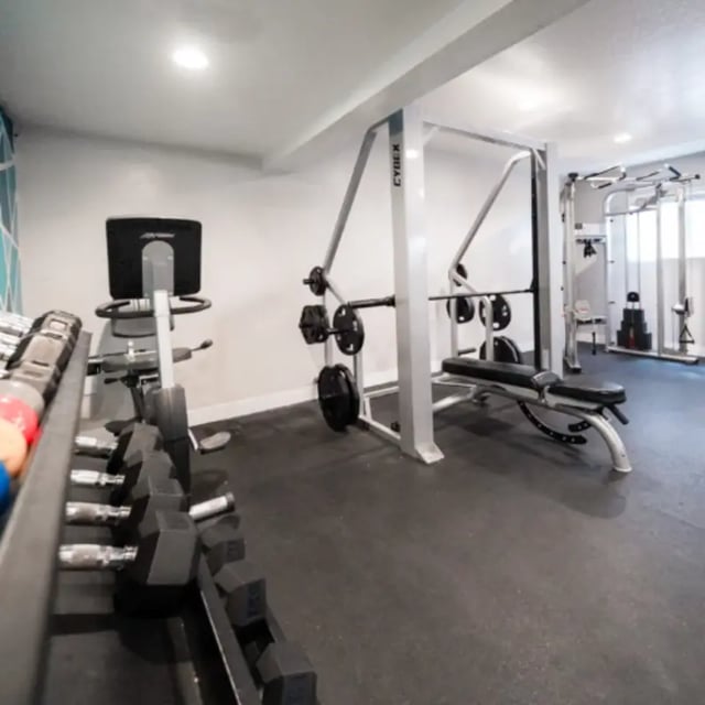 Weight rack exercise bike Cybex smith machine gym at Campus Way in Provo Student Accommodation