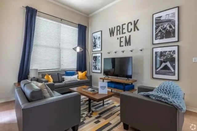 Leather sofas coffee table television framed art living room at The Centre Suites in Lubbock Student Accommodation