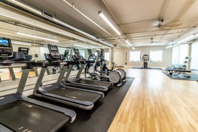 Treadmills ellipticals and weight bench gym at CollegePlace Provo in Provo Student Accommodation