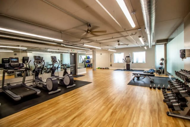 Treadmills ellipticals weights bench gym room at CollegePlace Provo in Provo Student Accommodation