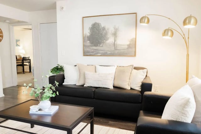 Black sofa pillows artwork floor lamp living room at The Lodge Apartments in San Marcos Student Accommodation