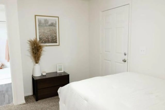 Bed dresser artwork and pampas grass bedroom at The Lodge Apartments in San Marcos Student Accommodation