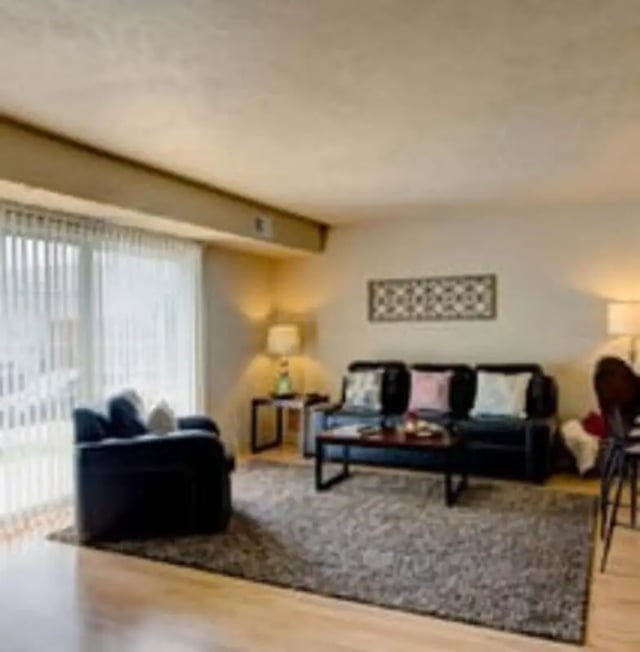 Sofa coffee table rug chair and lamp living room at Campus Court At Knollwood in Kalamazoo Student Accommodation