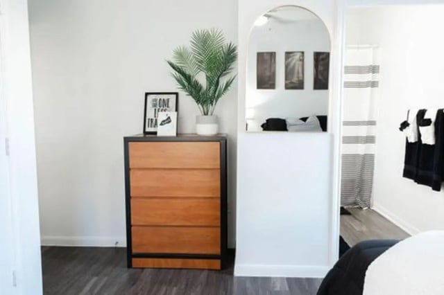 Dresser plant framed art and shower curtain bedroom at Villagio Apartments in San Marcos Student Accommodation
