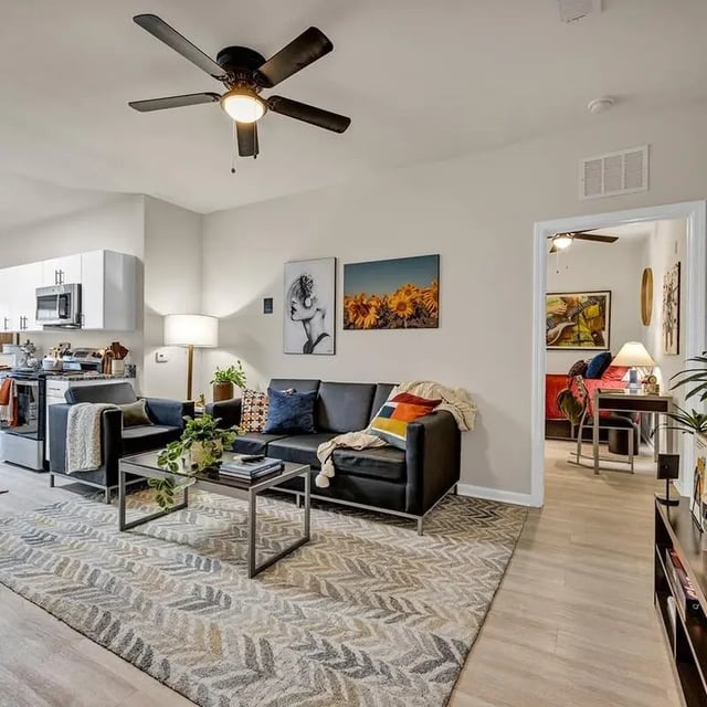 Black sofa coffee table ceiling fan living room at The Luxe on West Call in Tallahassee Student Accommodation