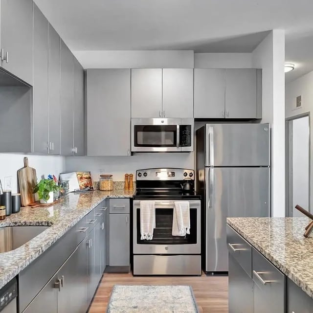 Modern grey cabinets stainless steel appliances kitchen at The Rowe Apartments in Tallahassee Student Accommodation