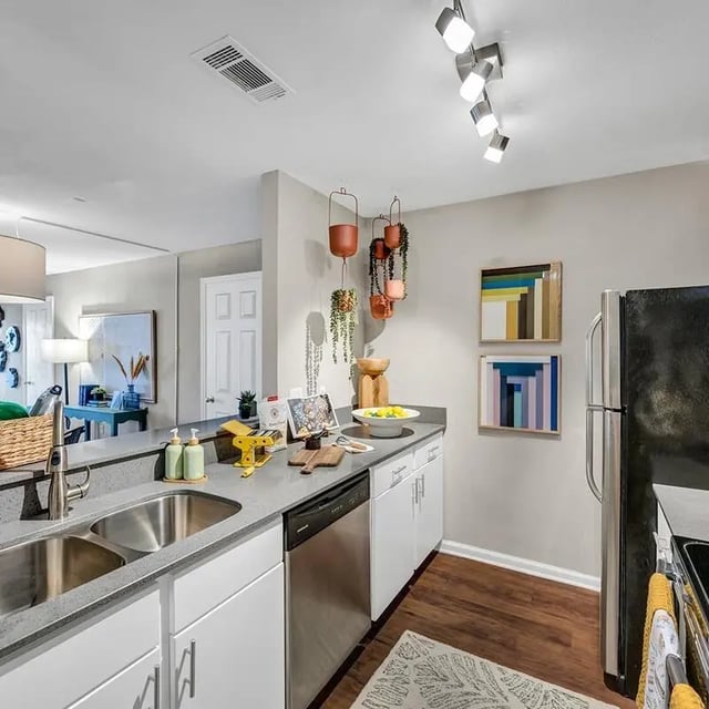 Stainless steel sink dishwashers and cabinets kitchen at The Wilde Raleigh Apartments in Raleigh Student Accommodation