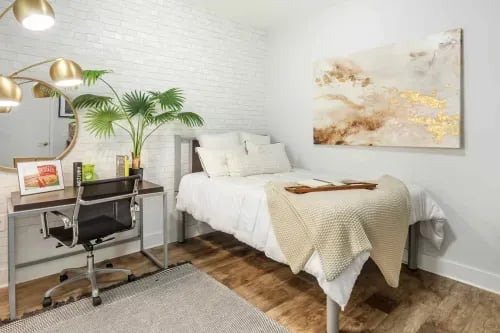 Desk chair plant bed artwork Bedroom at 1301 Hillsborough Apartments in Raleigh Student Accommodation