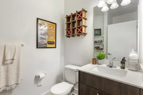 Toilet sink towel rack decor artwork bathroom at 1301 Hillsborough Apartments in Raleigh Student Accommodation
