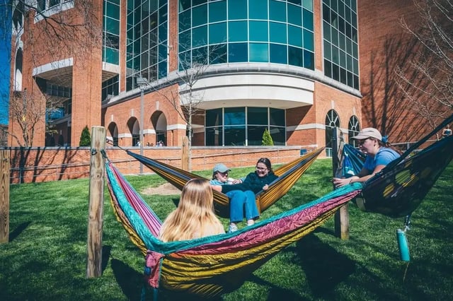 Students relaxing in hammocks outdoors exterior at The Harbor in Johnson City Student Accommodation