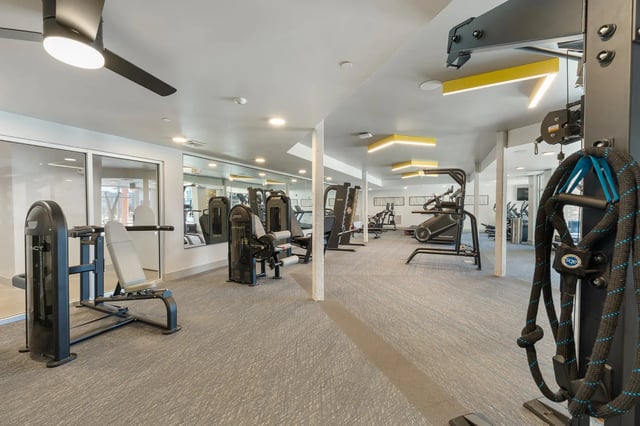Fitness equipment including machines and ropes gym. at Aspen State College in State College Student Accommodation