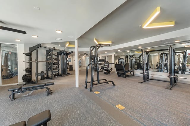 Weight racks barbells and benches gym facility at Aspen State College in State College Student Accommodation