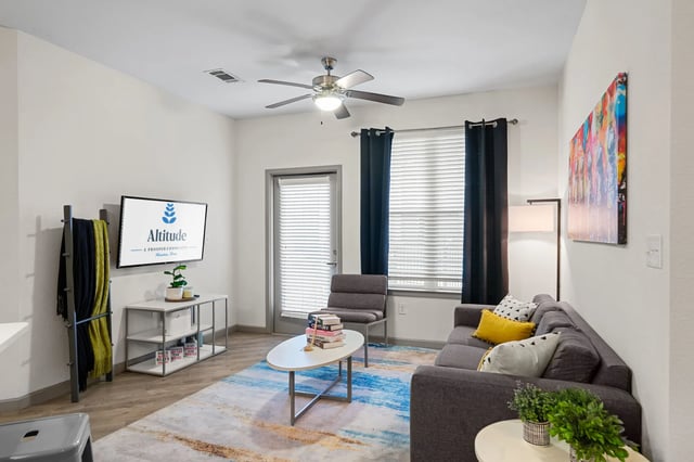 Sofa TV easel lamp rug living room at Altitude Apartments in Houston Student Accommodation