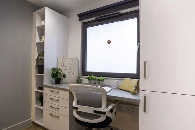 Desk with chair plants and artwork study area at The Bridge Phase II in Newcastle Upon Tyne Student Accommodation