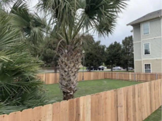 Wooden fence and palm trees exterior at Angelo Place Apartments in San Angelo Student Accommodation