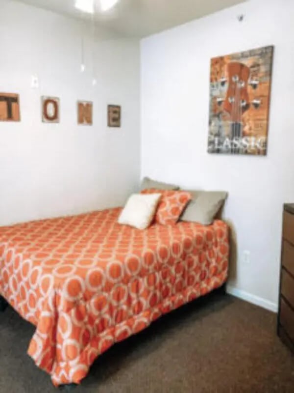 Orange patterned bed artwork on wall bedroom at Angelo Place Apartments in San Angelo Student Accommodation
