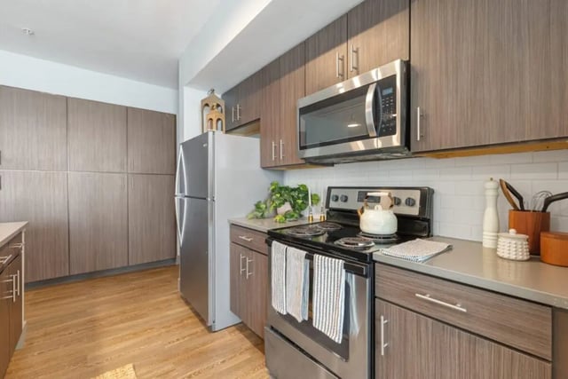 Modern kitchen with stainless steel appliances and cabinets kitchen at The Yard in Ann Arbor Student Accommodation