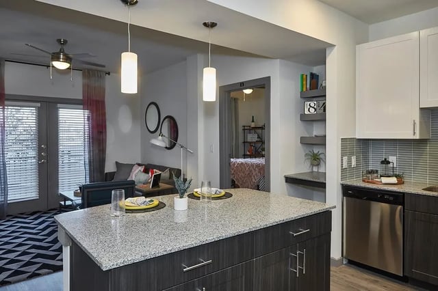 Kitchen island sofa and dishwasher living room at 848 Mitchell in Arlington Student Accommodation