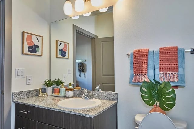 Counter sink art towels plant and toilet bathroom at 848 Mitchell in Arlington Student Accommodation