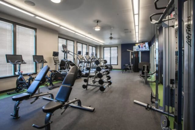Weights machines treadmills exercise bikes workout room at The Lodge at Allendale in Allendale Student Accommodation