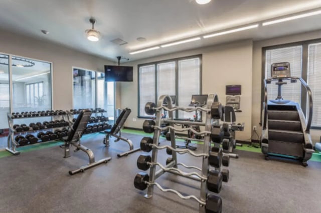 Dumbbells benches step machine fitness equipment gym at The Lodge at Allendale in Allendale Student Accommodation