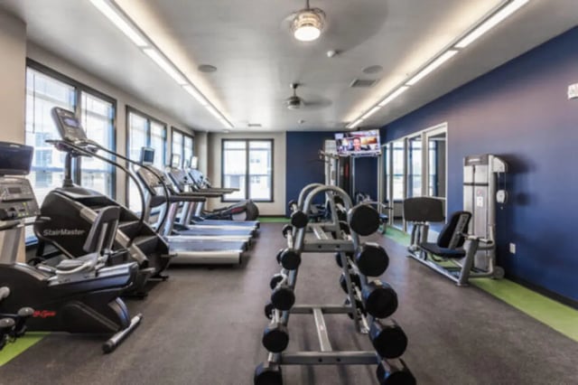 Treadmills weight rack exercise machines gym at The Lodge at Allendale in Allendale Student Accommodation