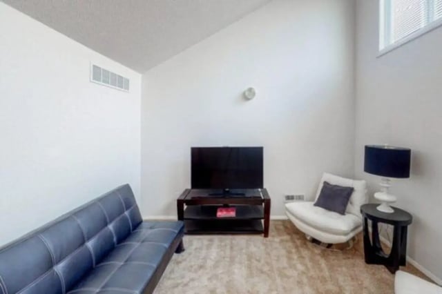 Black sofa television white chair living room at Apple Lane Apartments in Lawrence Student Accommodation