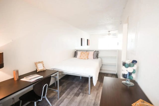 Bed desk and shelves bedroom at Apple Lane Apartments in Lawrence Student Accommodation