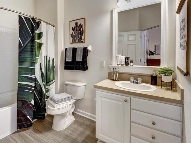 Toilet sink shower curtain with plants bathroom at The Province in Louisville Student Accommodation