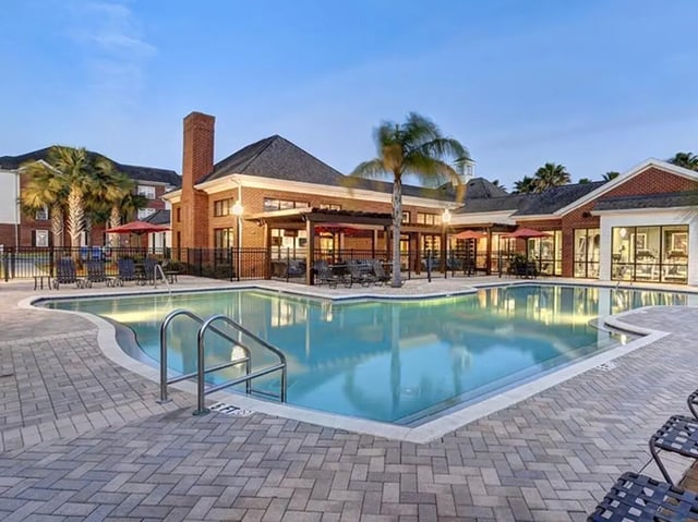 Pool with lounge chairs and palm trees exterior at The Province in Louisville Student Accommodation