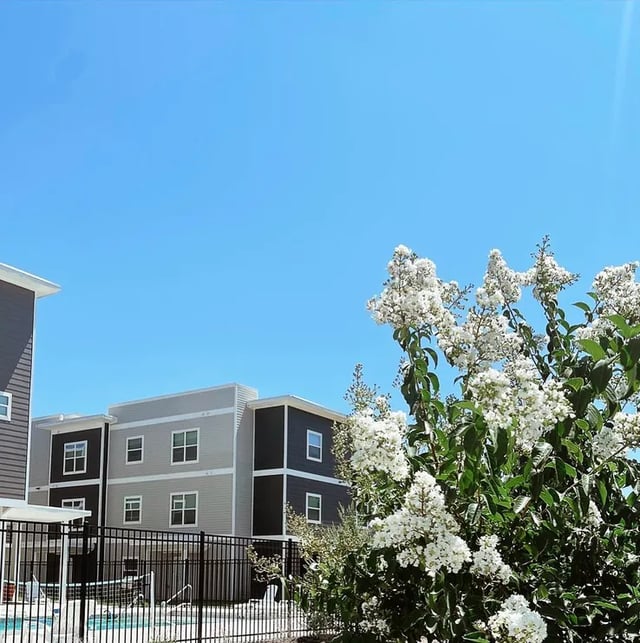 Modern buildings with white flowers and pool exterior at Fireside District Apartments in Stephenville Student Accommodation