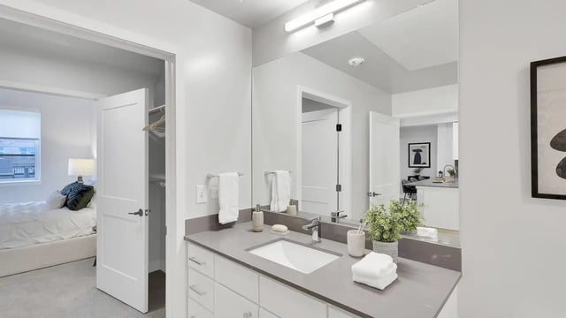 Sink towels plant countertop visible bedroom bathroom at The Dorsey in Denver Student Accommodation