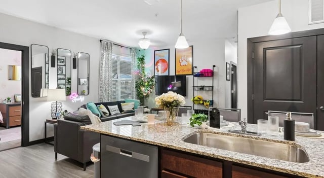 Sofa mirrors TV plant kitchen island living room at The Local Downtown in San Marcos Student Accommodation