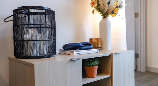 Black lantern vase books plant decorative item cabinet at Legacy202 Apartments in Champaign Student Accommodation