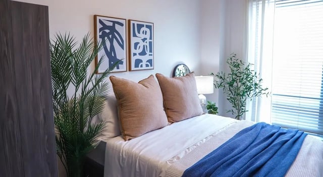 Bed with pillows artwork plants and lamp bedroom at Legacy202 Apartments in Champaign Student Accommodation