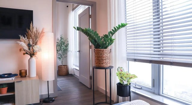 Floor lamp plants and TV living room at Legacy202 Apartments in Champaign Student Accommodation