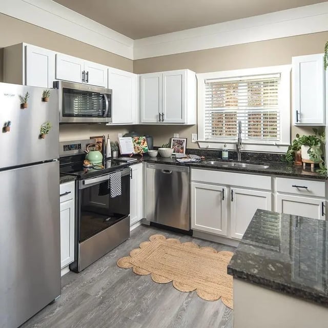Stainless steel appliances white cabinets black counters kitchen at Highpointe in Boone Student Accommodation