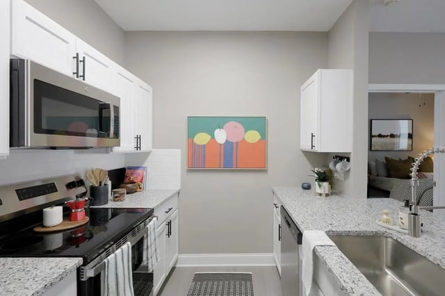 Modern kitchen with granite counters and appliances kitchen at Hill Place Apartments in Fayetteville Student Accommodation