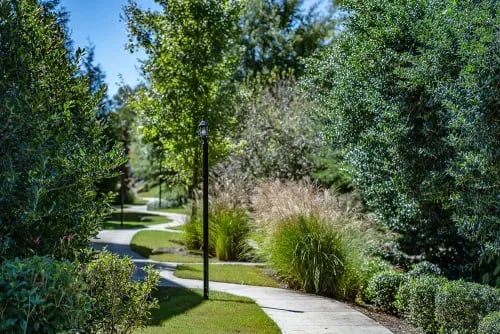 Curving pathway with lamps green trees exterior at The Towns at Octiv Row in Carrollton Student Accommodation