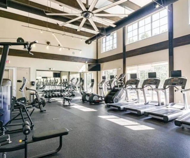 Gym equipment including treadmills stair climbers and weights Gym at University Edge Apartments Bldg 1 in South Bend Student Accommodation