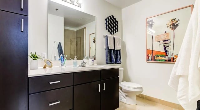 Sink cabinet toilet towels framed art bathroom at Landmark Apartments in Ann Arbor Student Accommodation