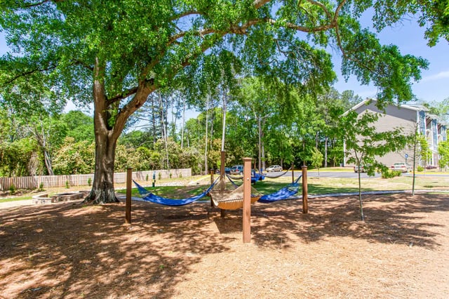 Hammocks under large tree with apartment building exterior at Landmark Athens in Athens Student Accommodation