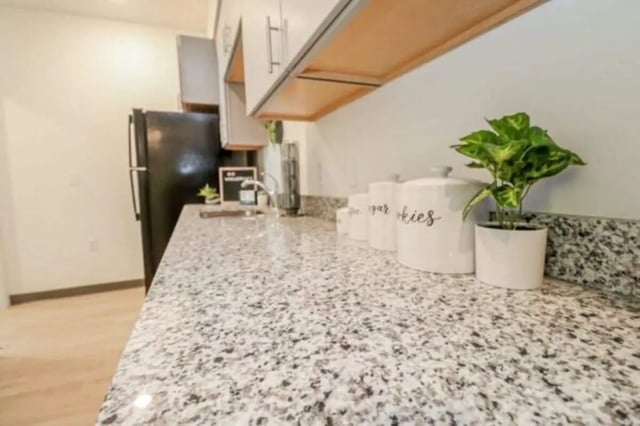Countertop sink refrigerator cookie jars plant kitchen at The Green on Campus Drive in Orem Student Accommodation