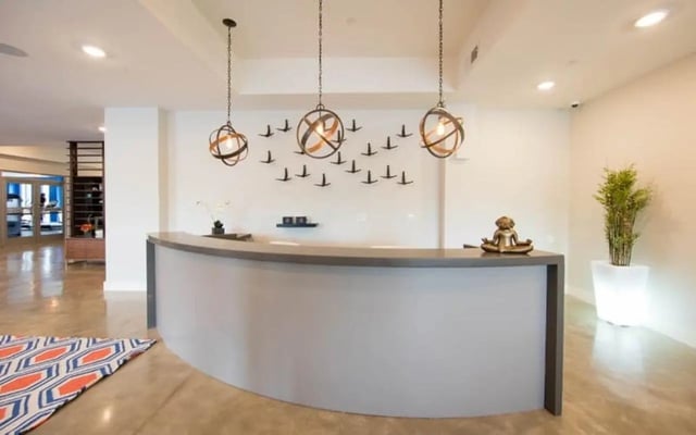 Reception desk with decor and plant lobby at Park Place Columbia in Columbia Student Accommodation