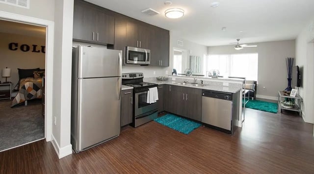 Modern kitchen with stainless steel appliances and bedroom area Living room at Park Place Columbia in Columbia Student Accommodation