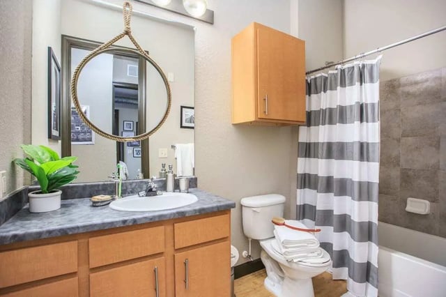 Sink toilet vanity cabinet shower curtain bathroom at 4050 Lofts in Tampa Student Accommodation
