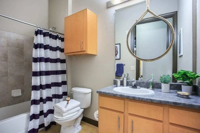 Toilet towels cabinet shower curtain sink bathroom at 4050 Lofts in Tampa Student Accommodation